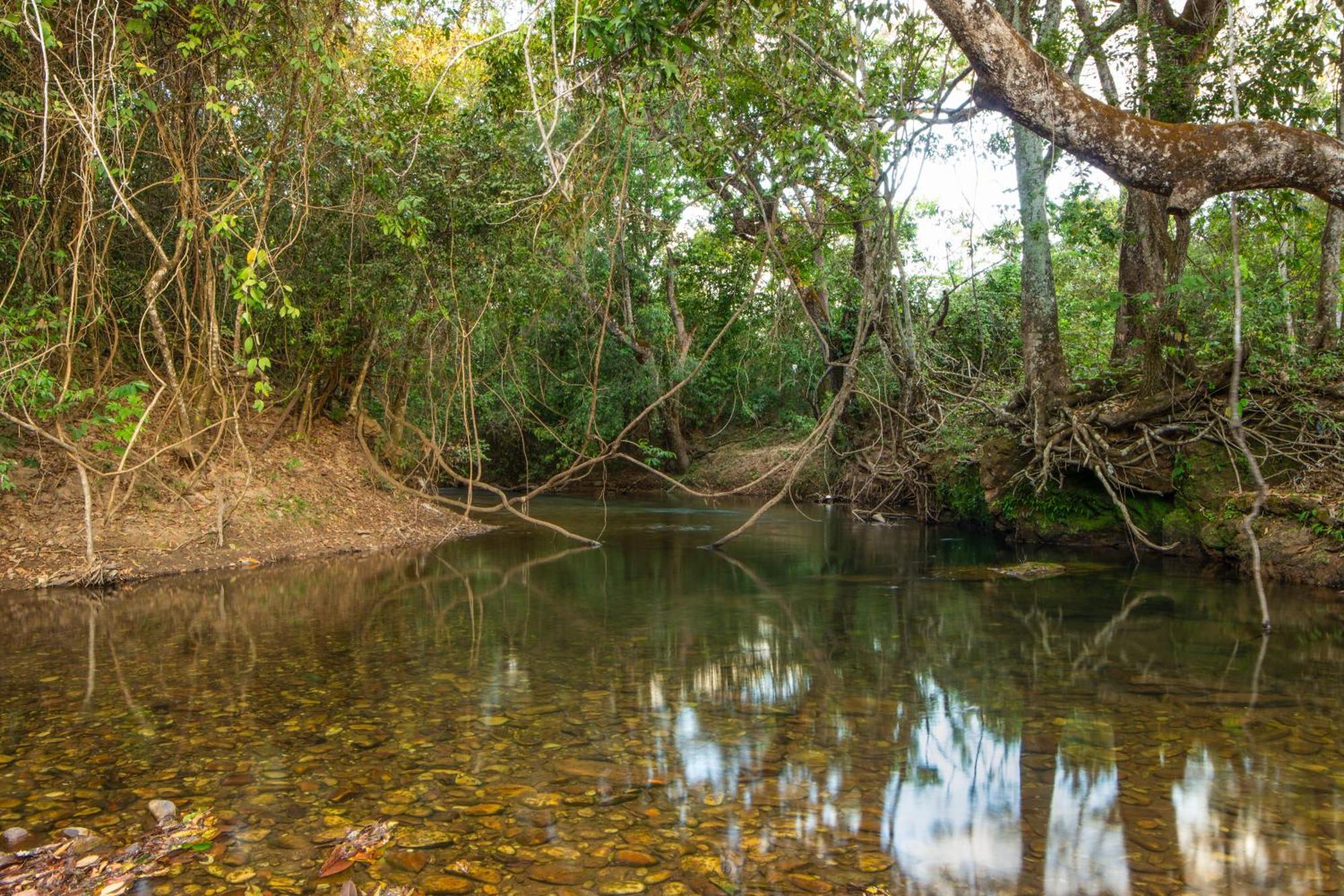 Camping Das Aguas Pirenópolis Eksteriør billede
